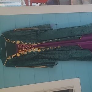 Adult Princess Costume Frozen Cinderella Disney Renaissance sM